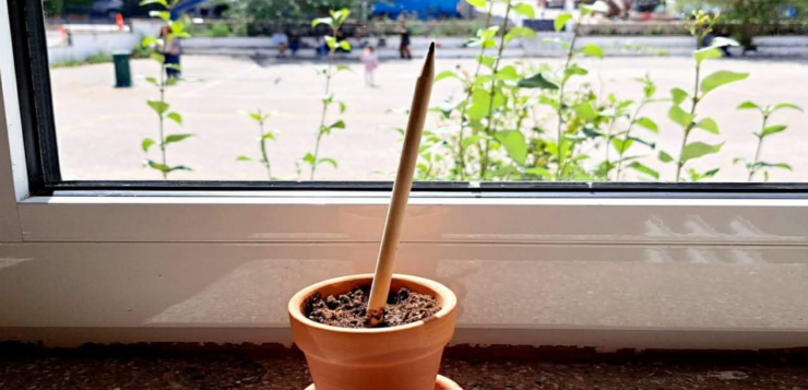 Μία παιδομελιτεία πέρα από τη μάθηση ως απόδοση, στη μάθηση ως άνοιγμα στον κόσμο